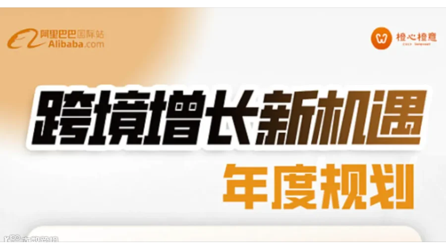 跨境增长新机遇-年度规划