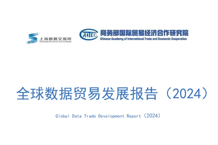 上海数据交易所商务部全球数据贸易发展报告202412页