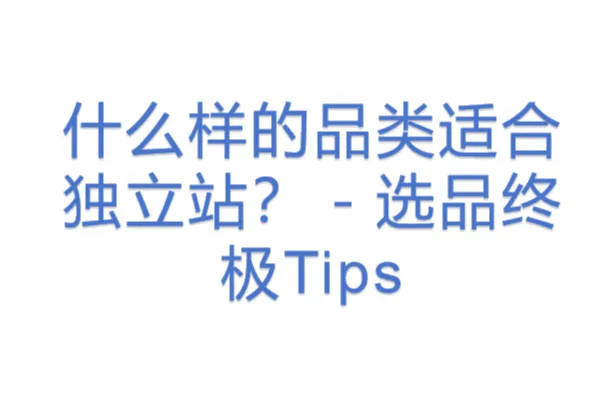 什么样的品类<em>适合</em>独立站？－选品终极Tips