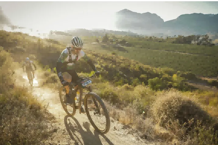 苔源 MossCode：千萬級天使輪，估值 1 億美金出海｜Shine Brand