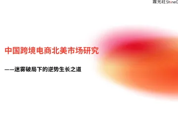2024中国跨境电商北美市场研究报告