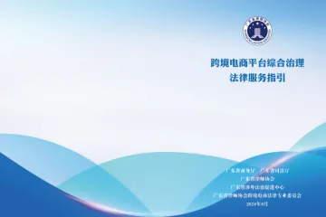 广东省律师协会GDBR：2024跨境电商平台综合治理法律服务指引