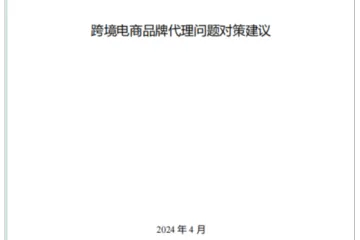 2024跨境电商品牌代理问题对策建议报告