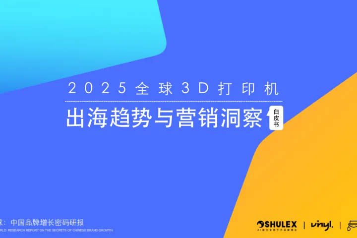 Vinyl乙烯众筹：2025年<em>3D</em>打印机出海趋势与营销洞察白皮书