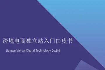 易诺2024跨境电商独立站入门白皮书