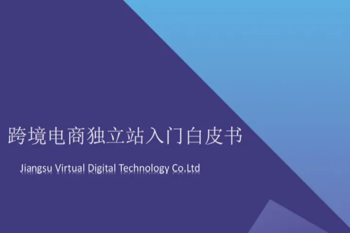 易诺2024跨境电商独立站入门白皮书