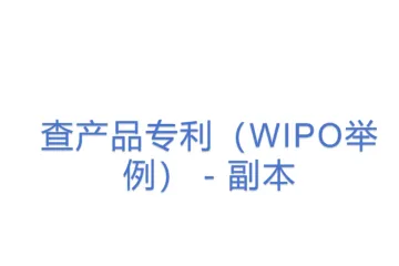 查产品专利（WIPO举例） - 副本