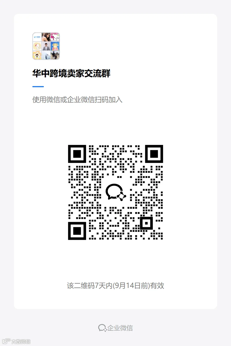 华中跨境卖家交流群