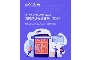 Tk2024-25家居品类分析报告欧美