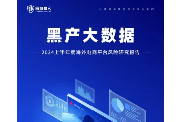 《2024海外电商平台风险报告》