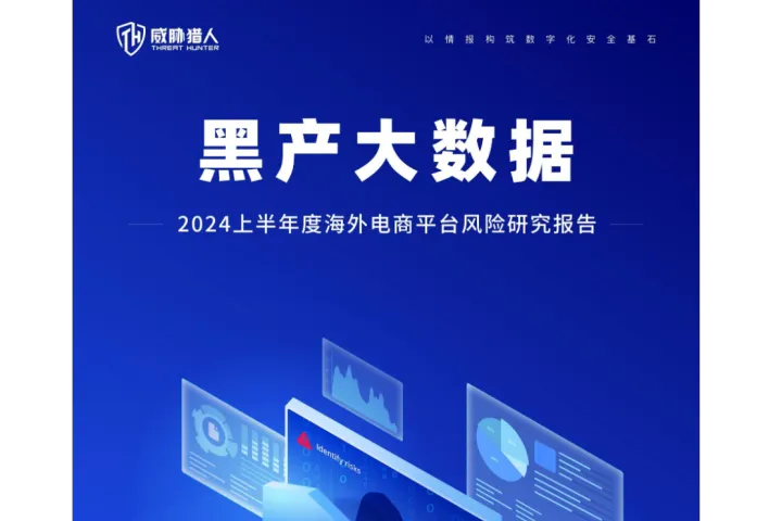 《2024海外电商平台风险报告》