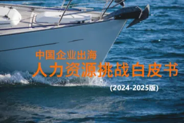 HRise出海研究院：中国企业出海人力资源挑战白皮书2024-2025版