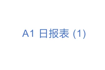 A1 日报表 (1)