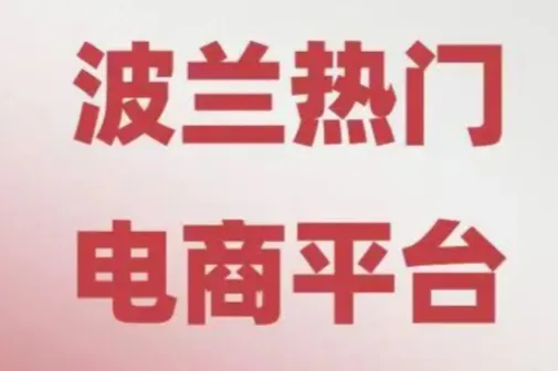 Allegro运营实操指南——想高效批量上架产品？CSV模板使用指南，一次性搞定10000条报价！