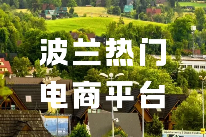 波兰Allegro运营干货！报价模板如何省时间高效用？