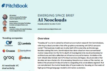 PitchBook：2024新兴市场简报AI算力云AINeoclouds使用案例局限性及前景展望英文版