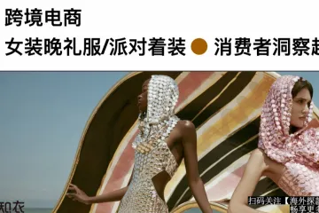 跨境电商女装晚礼服消费者洞察趋势报告