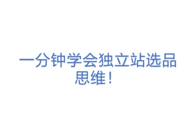 一分钟学会独立站选品思维！