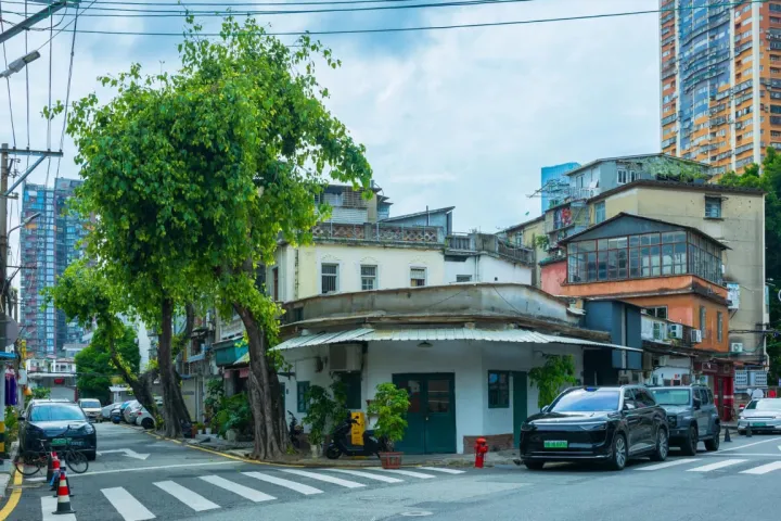 厦门小团哪家靠谱?本地正规纯玩服务商综合测评