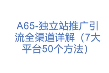 A65-独立站推广引流全渠道详解（7大平台50个方法）
