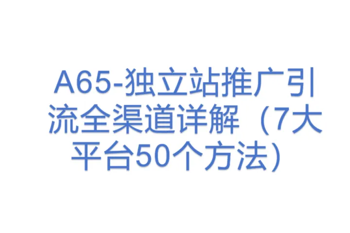 A65-独立站<em>推广</em>引流全<em>渠道</em>详解（7大平台50个方法）