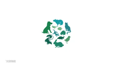 2026年华东（杭州）国际宠物用品展览会 Pet Fair
