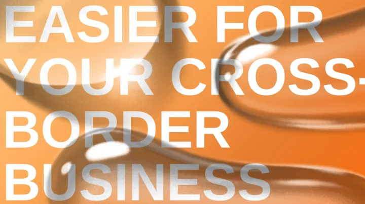 全球化趋势下的支付挑战：一家外贸企业的真实案例