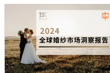 2024 全球婚纱市场洞察报告：深度解读与趋势展望