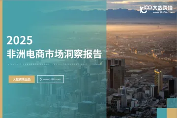 大数跨境：2025非洲电商市场洞察报告