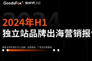 2024年H1中国企业出海趋势报告（25页）