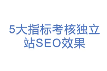 5大指标考核独立站SEO效果
