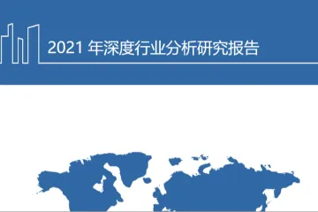 2021年SHEIN公司商业模式与服装跨境电商行业研究报告25页