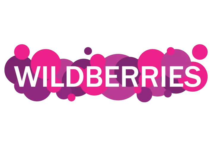 Wildberries平台简介：发展历程与市场地位