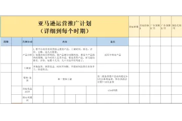 亚马逊运营推广计划（详细到每个时期）