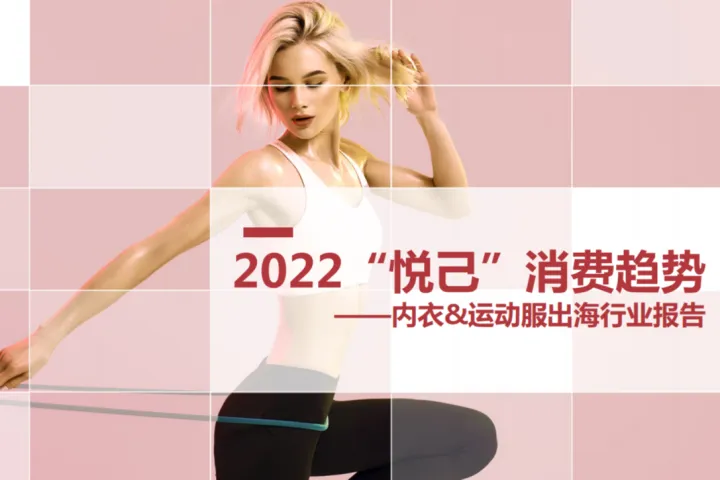 2022运动服装&内衣<em>行业</em>出海<em>行业</em>报告
