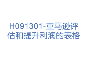 H091301-亚马逊评估和提升利润的表格
