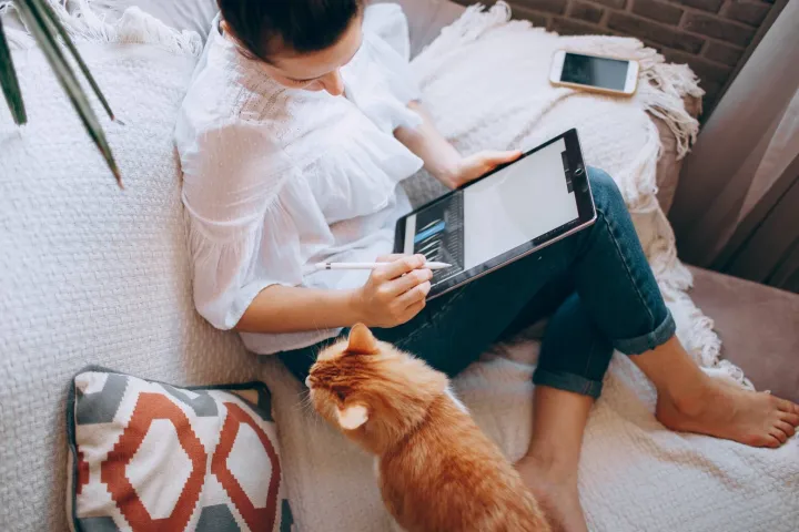 外贸建站预算清单公开：从几百到几万怎么选？