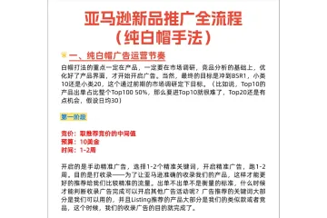 亚马逊新品推广思路（纯白帽）