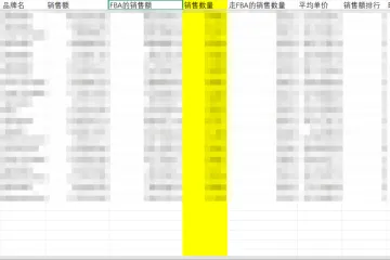 类目数据分析模板