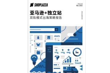 亚马逊独立站双轨模式报告