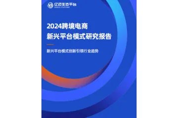 2024年跨境电商新兴平台模式研究报告