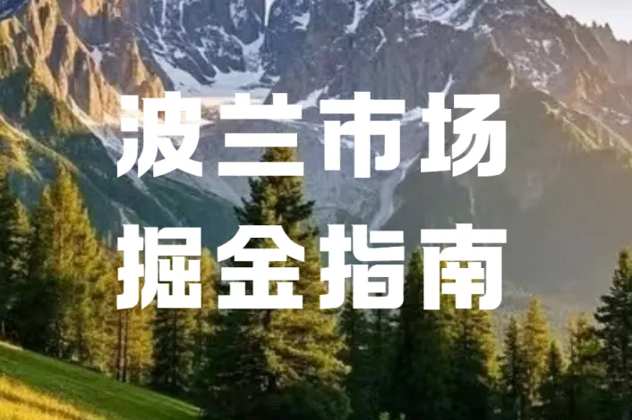 欧洲出海本土化！新注册波兰企业，聘请中国员工工签全门槛详解