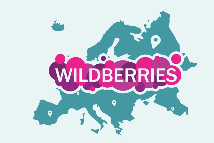 Wildberries广告类型选择指南