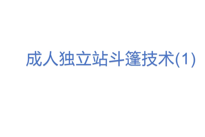 成人独立站斗篷<em>技术</em>(1)