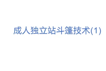 成人独立站斗篷技术(1)