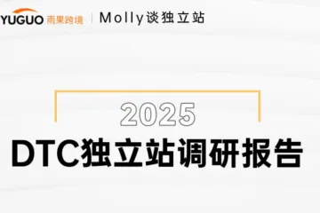 雨果跨境：2025DTC独立站调研报告