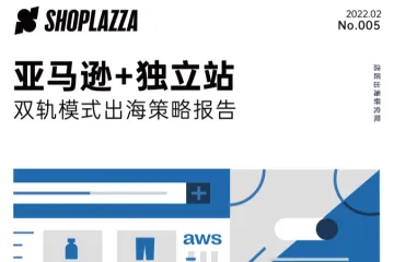 店匠Shoplazza：亚马逊独立站双轨模式出海策略报告