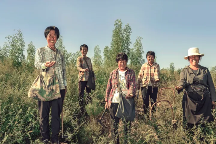 复盘五年品牌创业，她为何说「从未像今天这样离土地、离人、离生活如此之近」？