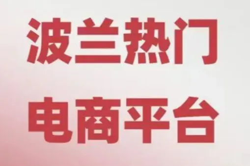 Allegro运营实操指南——波兰站账户验证、信息变更无头绪？这篇给你答案！
