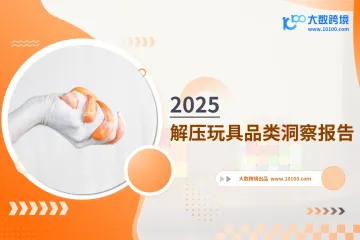 大数跨境：2025解压玩具品类洞察报告